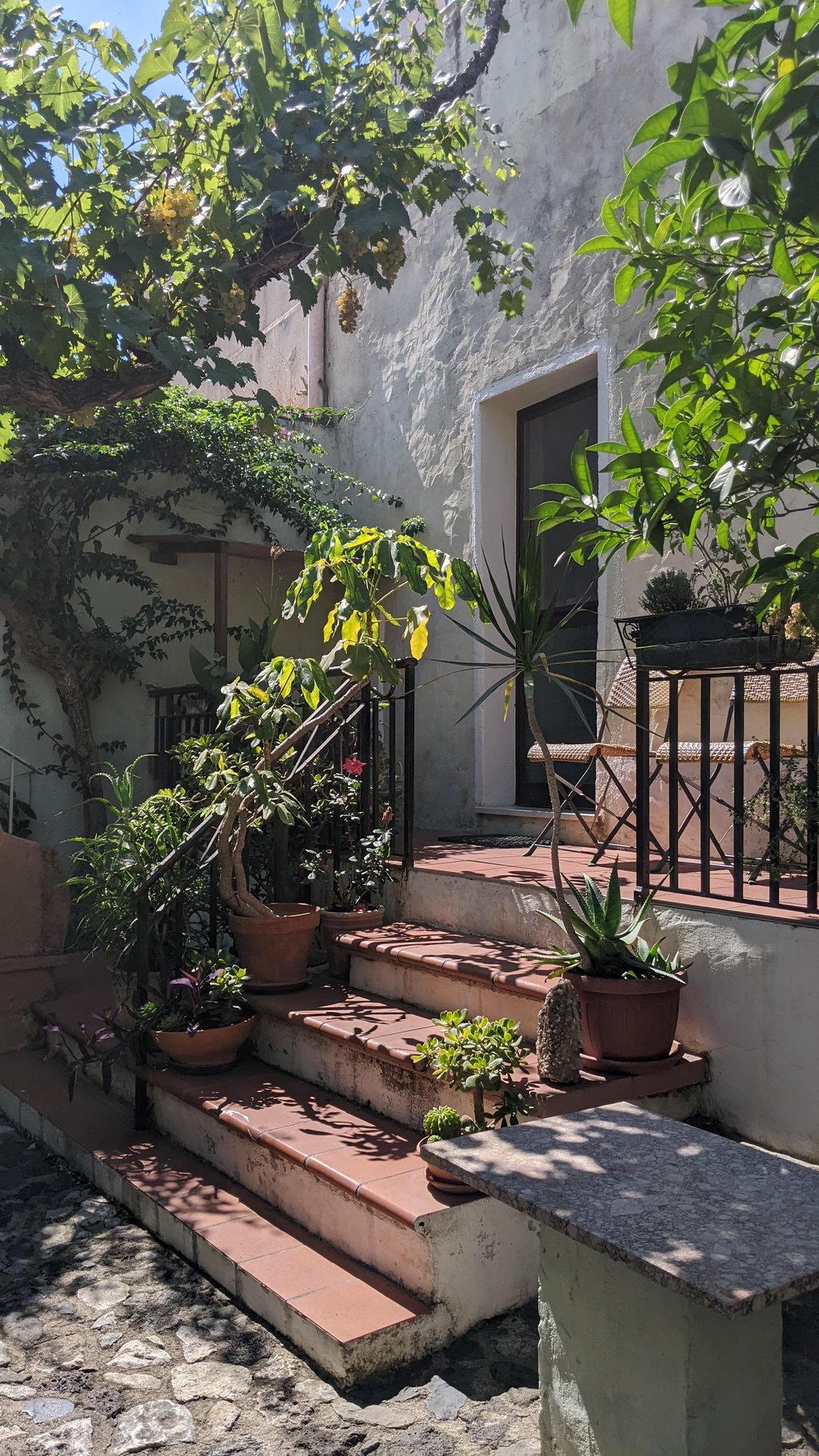 Courtyard – Casa Marmora