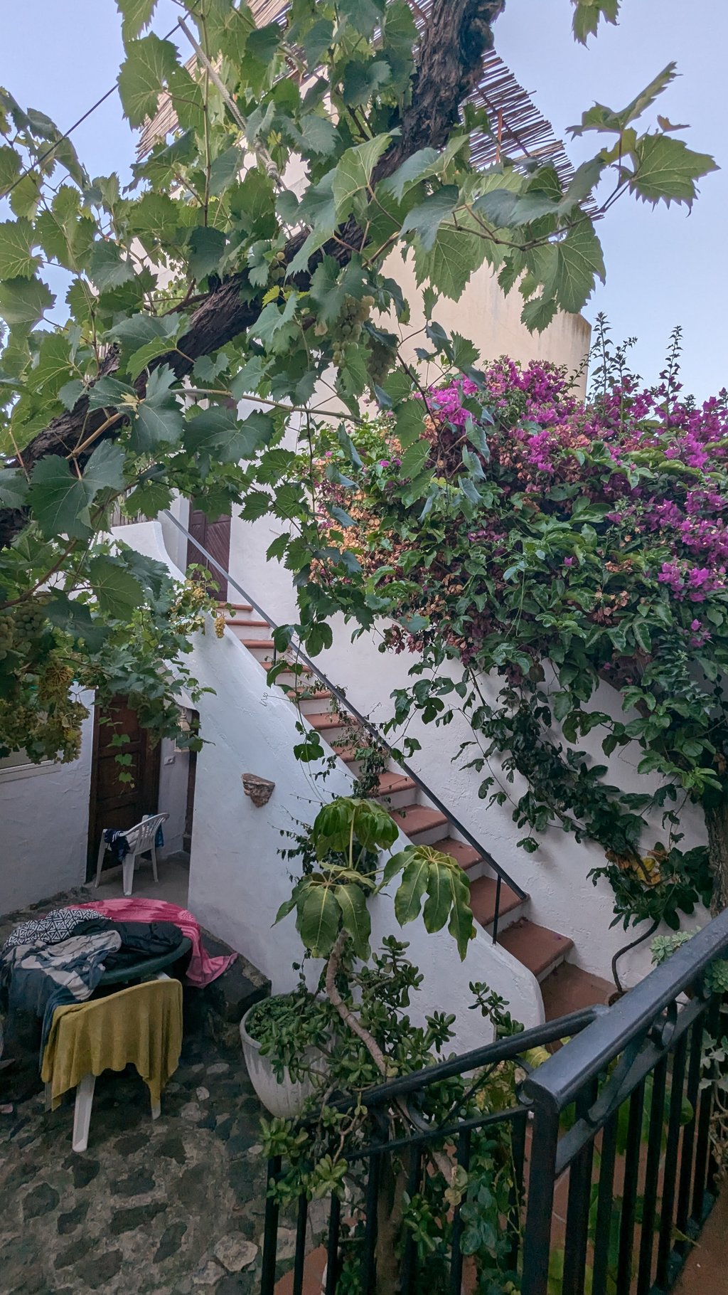Courtyard – Casa Marmora