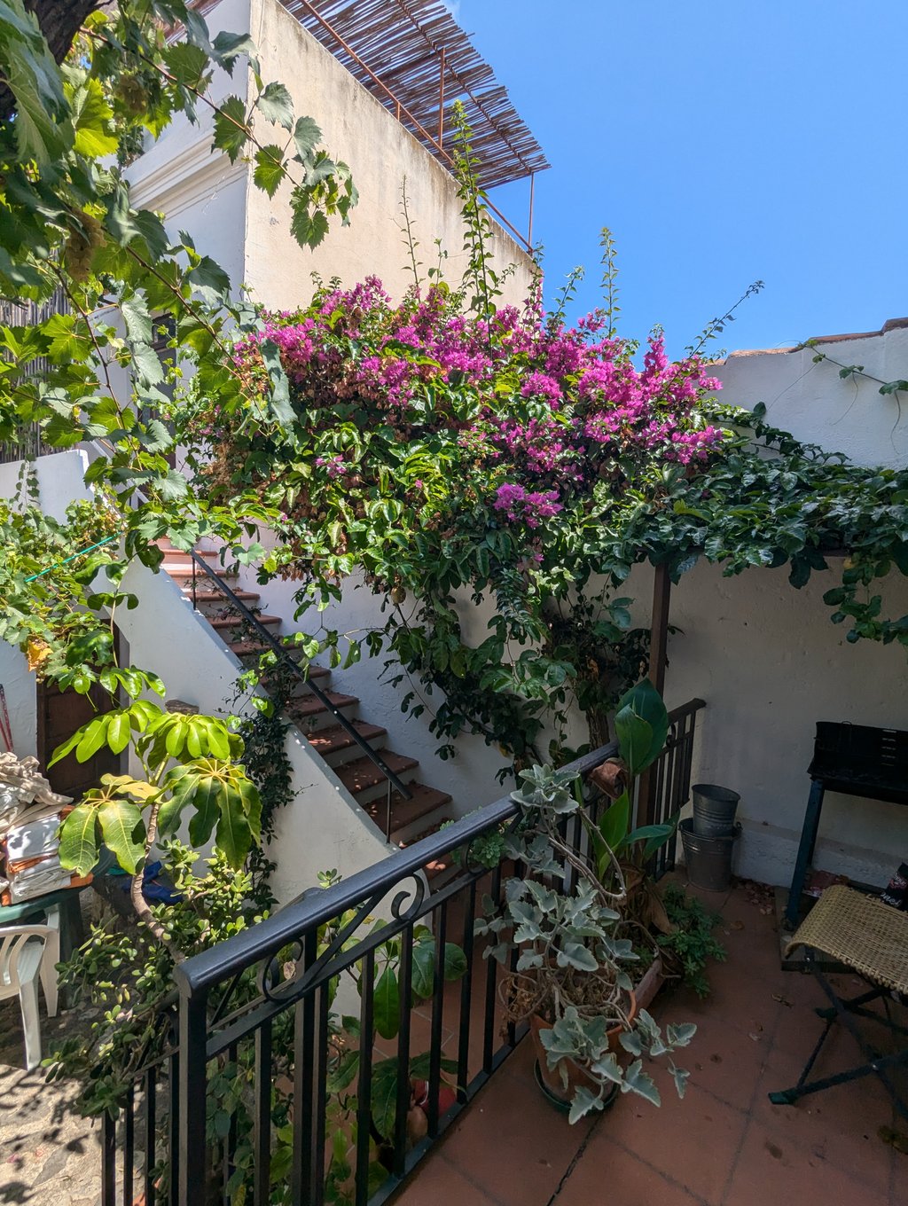 Courtyard – Casa Marmora