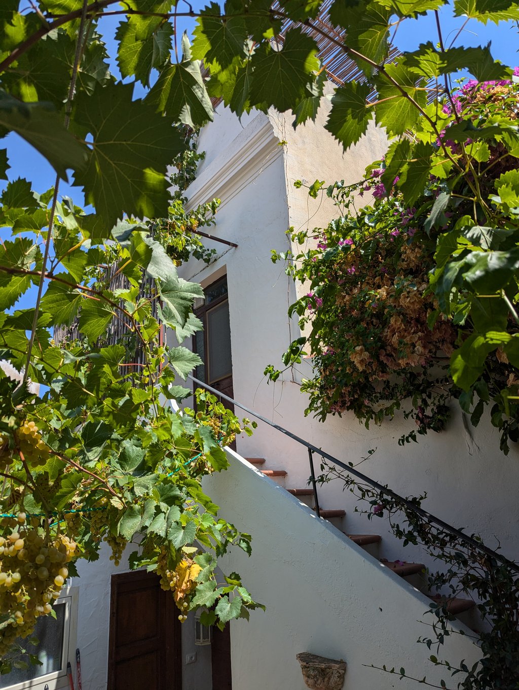 Courtyard – Casa Marmora